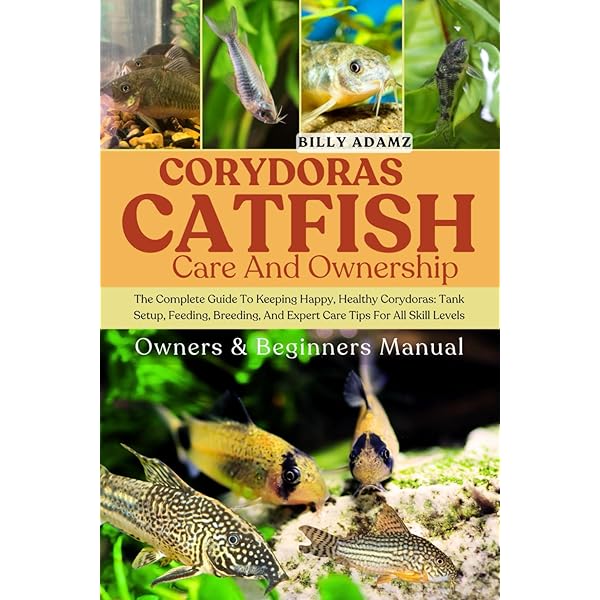Identifying Corydoradinae Catfish - Corydoras: Ian A. M. Fuller